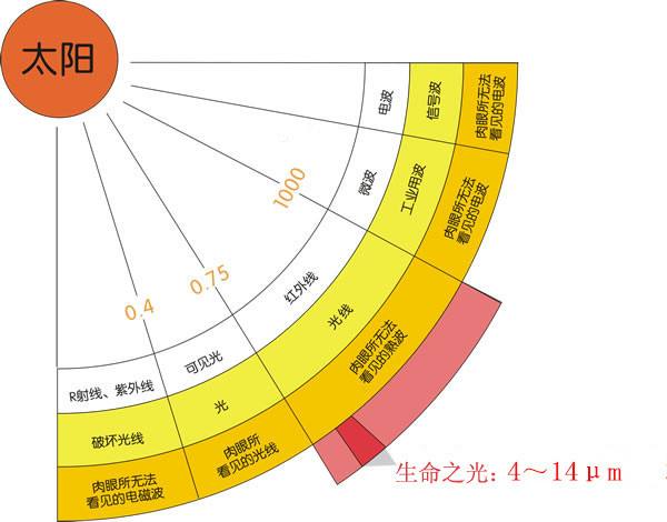 远红外.jpg